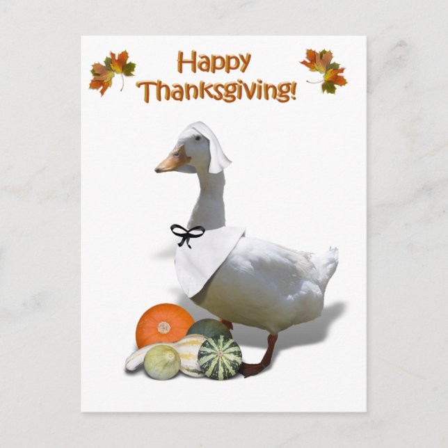 Cartão Postal De Festividades Thanksgiving White Duck Pilgrim Girl (Frente)