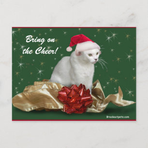 Cartão Postal De Festividades The Christmas Cat Postcard