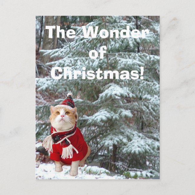 Cartão Postal De Festividades The Wonder of Christmas! (Frente)