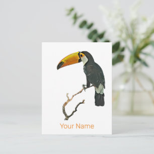 Cartão Postal De Festividades Toucan Retrait Animal Tropical Bird Design