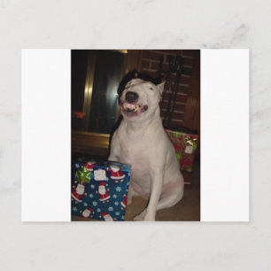 Cartão Postal De Festividades touro de sorriso de natal terrier