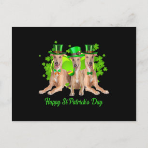 Cartão Postal De Festividades Três Cães Greyhound Feliz Dia dos Stpatricks Pre
