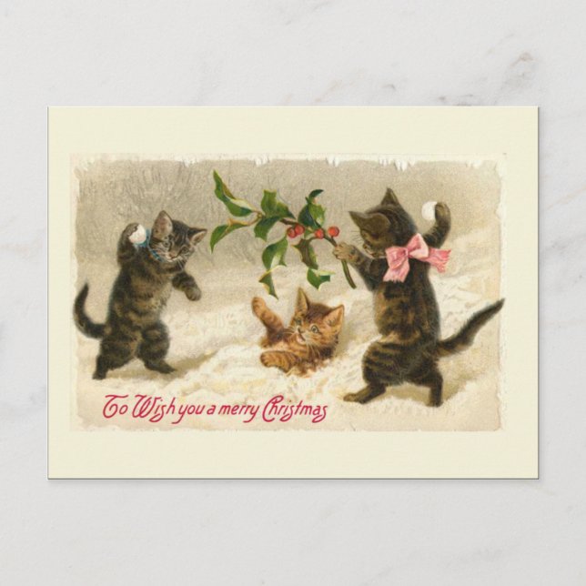 Cartão Postal De Festividades Três gatos e um galho Holly (Frente)