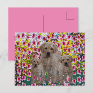 Cartão Postal De Festividades Três Labradores Pintados De Óleo,  