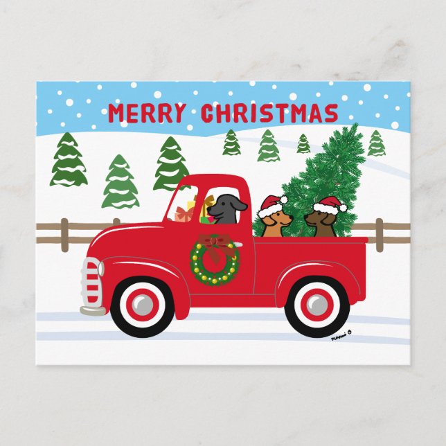 Cartão Postal De Festividades Três Labradores Red Truck Natal (Frente)