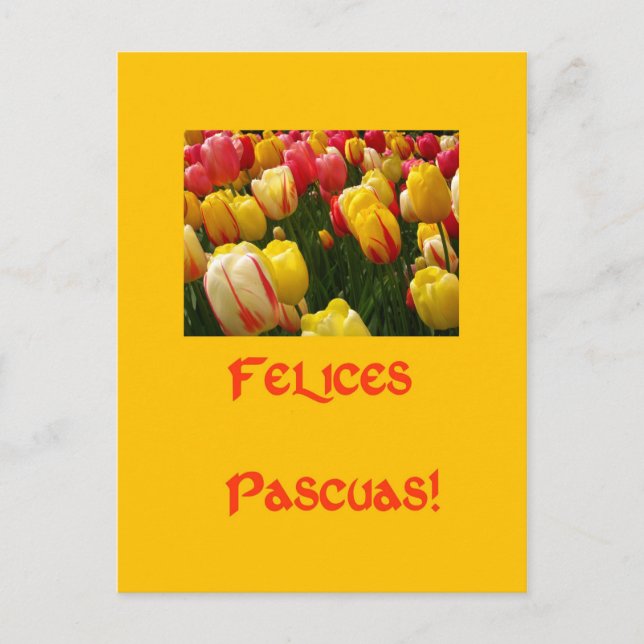 Cartão Postal De Festividades tulipas mistas saudação de páscoa amarela em espan (Frente)
