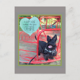 Cartão Postal De Festividades Um Cartão de Posto de Sorriso Cheio