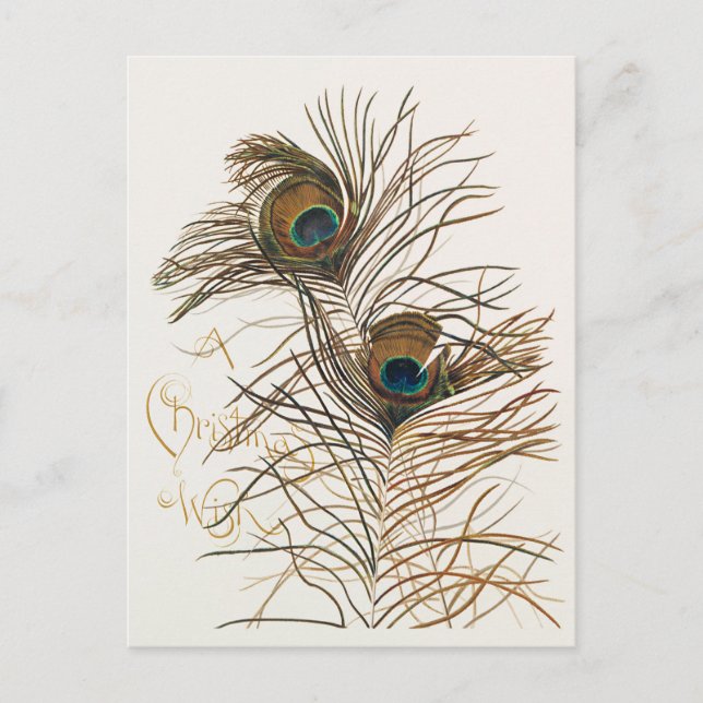 Cartão Postal De Festividades Um Desejo de Natal com Cartão de Férias Tropical (Frente)