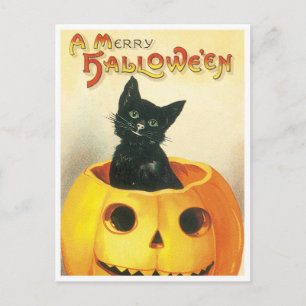 Cartão Postal De Festividades Um Halloween Feliz