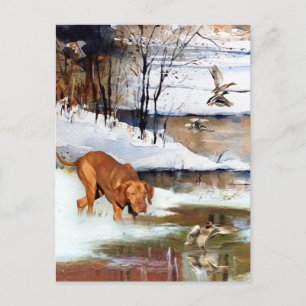 Cartão Postal De Festividades Um versátil aristocrata no Vizsla Húngaro