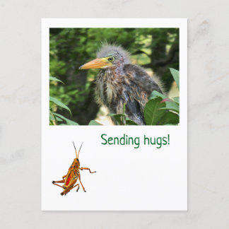 Cartão Postal De Festividades Uma erva verde