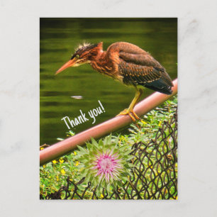 Cartão Postal De Festividades Uma erva verde