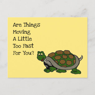 Cartão Postal De Festividades Understanding Turtle are things moving too fast PC
