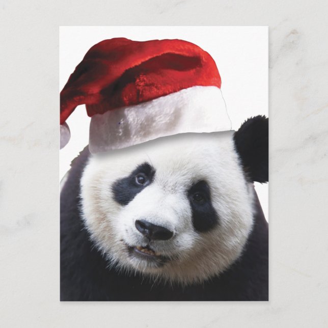 Cartão Postal De Festividades Urso de Panda de Natal (Frente)
