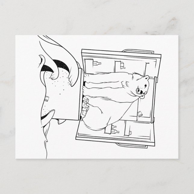 Cartão Postal De Festividades Urso Polar das Alterações Climáticas (Frente)