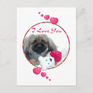 Cartão Postal De Festividades Valentine de Pequinês