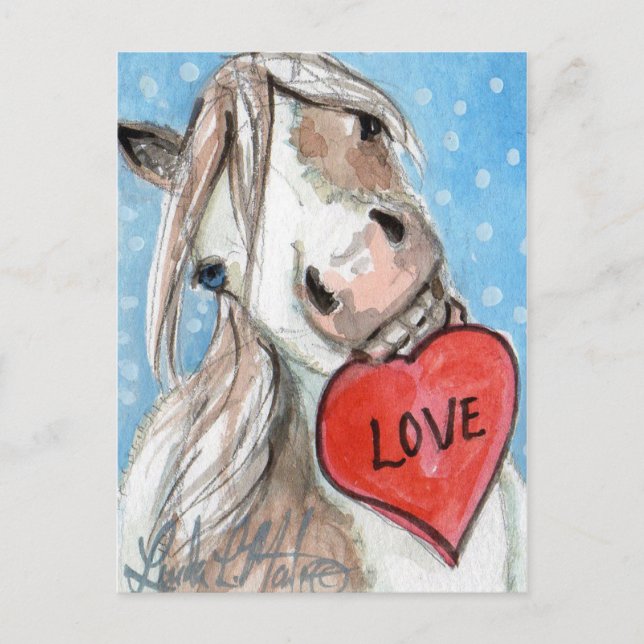 Cartão Postal De Festividades Valentine Pony Postcard Blue Eyed Pinto (Frente)