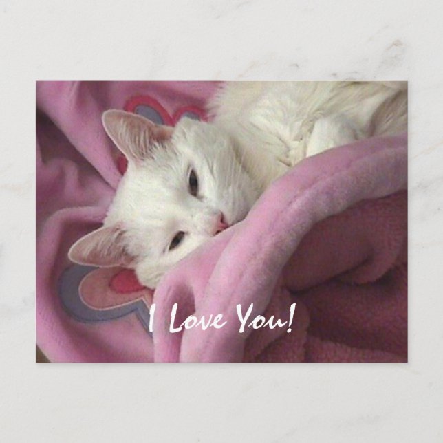 Cartão Postal De Festividades Valentine Post Card - Customized (Frente)