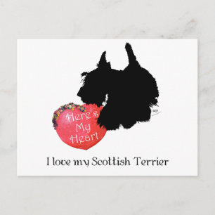 Cartão Postal De Festividades Valentine Terrier Escocês