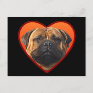 Cartão Postal De Festividades Valentine's Bullmastiff postcard