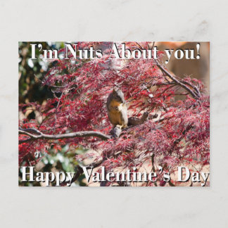 Cartão Postal De Festividades Valentine's Day Card for school