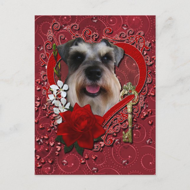 Cartão Postal De Festividades Valentines - Key to My Heart - Schnauzer (Frente)