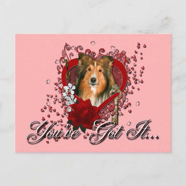 Cartão Postal De Festividades Valentines - Key to My Heart - Sheltie (Frente)