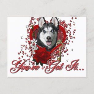 Cartão Postal De Festividades Valentines - Key to My Heart - Siberian Husky