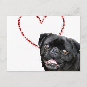 Cartão Postal De Festividades Valentine's pug dog