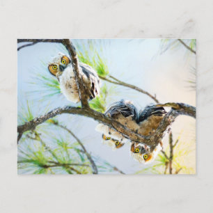 Cartão Postal De Festividades Vazio De Bebê Bonito Ocasião