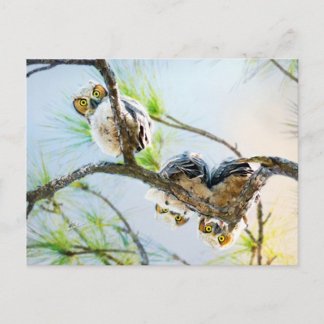 Cartão Postal De Festividades Vazio De Bebê Bonito Ocasião (Frente)