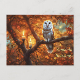 Cartão Postal De Festividades Velas de Coruja de Samhain