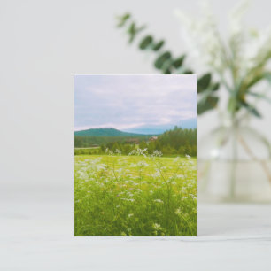 Cartão Postal De Festividades Verão em Hälsingland - Helsingia