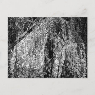 Cartão Postal De Festividades vida útil