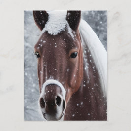 Cartão Postal De Festividades Vidro Suave Brilhante Procure Cavalo