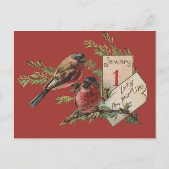 Cartão Postal De Festividades Vintage Anos novos Aves (Frente)