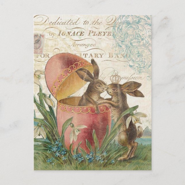 Cartão Postal De Festividades Vintage Easter Bunnitecard (Frente)