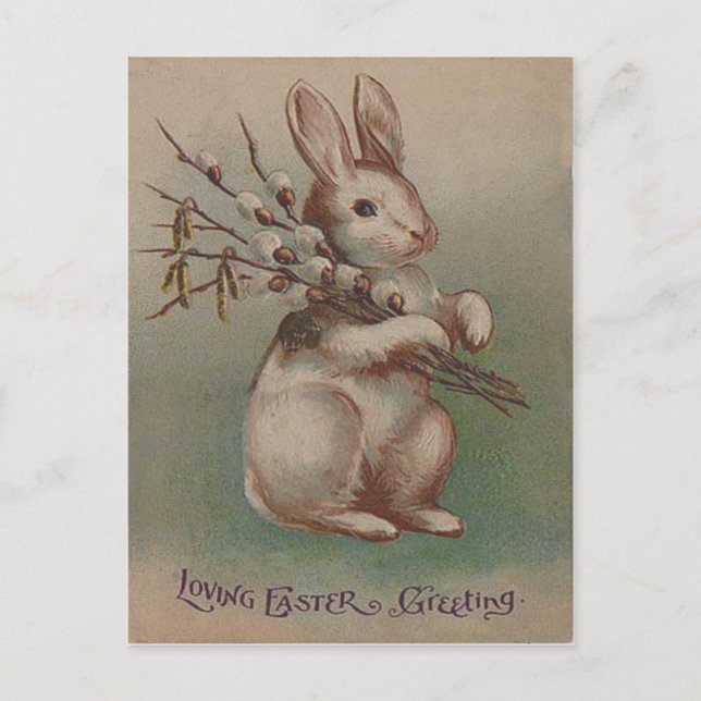 Cartão Postal De Festividades Vintage Easter Bunny Rabbit (Frente)