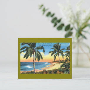 Cartão Postal De Festividades Vintage Key West ,Florida Viagem Postcards