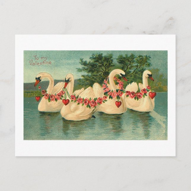 Cartão Postal De Festividades Vintage Namorados Swans (Frente)