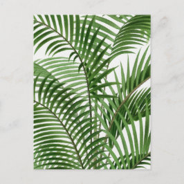 Cartão Postal De Festividades Vintage Retro Watercolor Palm Tree Folm