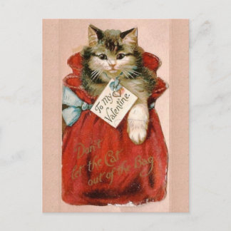 Cartão Postal De Festividades Vintage Victorian Cat Em Dia de os namorados De Sa