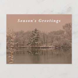 Cartão Postal De Festividades Vintage Winter Photography Season's Greetings