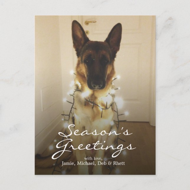 Cartão Postal De Festividades Você disse Papais noeis Paws? (Frente)