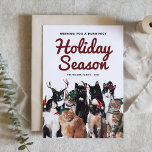 Cartão Postal De Festividades Watercolor Cats Purr-fect Christmas Photo Holiday<br><div class="desc">Send holiday greetings with this cat-themed holiday postcard. It features an adorable group of cats with festive hats. Personalize by adding names,  year,  message and photo. This holiday postcard is perfect for cat lovers.</div>