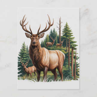 Cartão Postal De Festividades Welcome Your New Baby 2026 