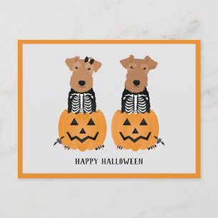 Cartão Postal De Festividades Welsh Terrier Halloween Skeleton