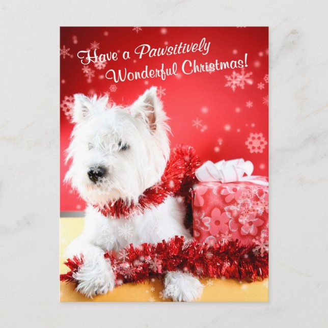 Cartão Postal De Festividades West Highland White Terrier Christmas Wishes (Frente)