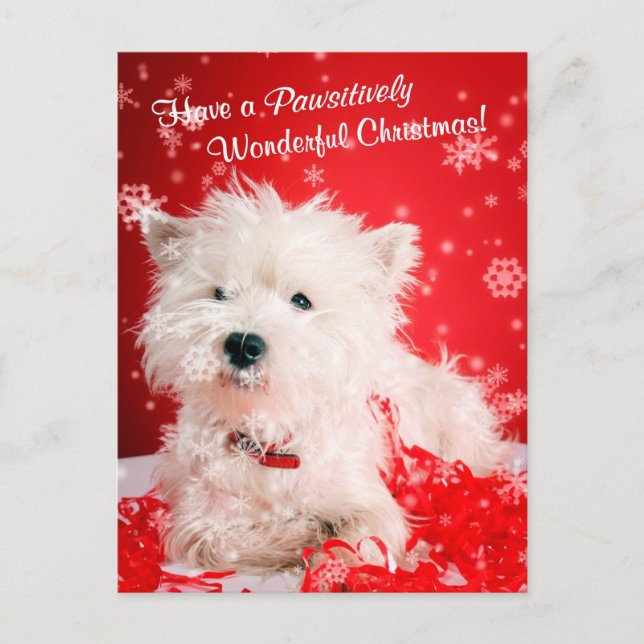Cartão Postal De Festividades West Highland White Terrier Christmas Wishes (Frente)