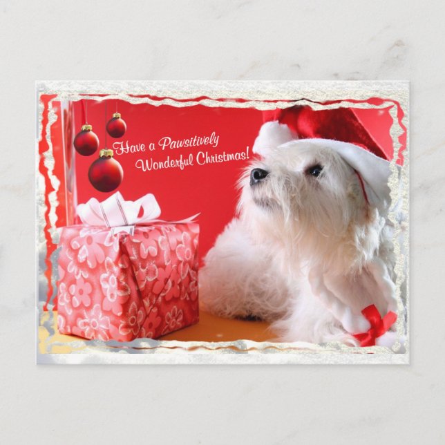 Cartão Postal De Festividades West Highland White Terrier Christmas Wishes (Frente)